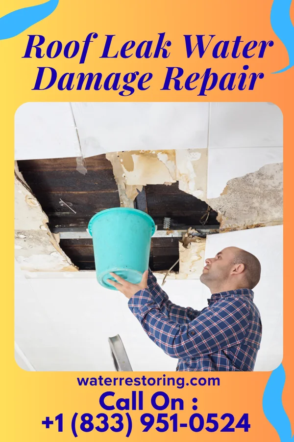 Roof Leak Water Damage Repair in Drowning Creek, OK